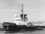 El Huasteco