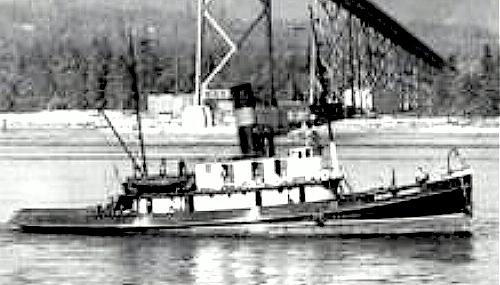 Pacific Monarch