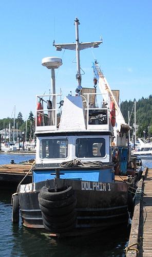 Dolphin I