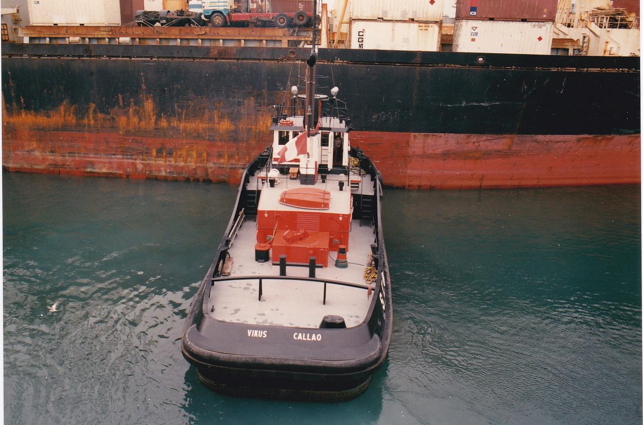 Vikus