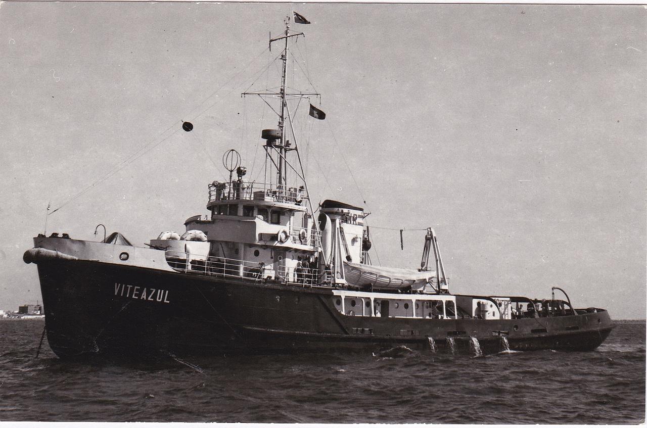 Viteazul