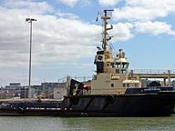 Bsv Portugalia