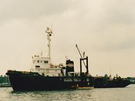 Salviola