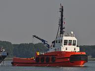Afss Adrienne