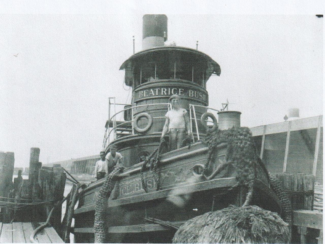 Beatrice Bush