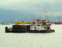 Dn 204