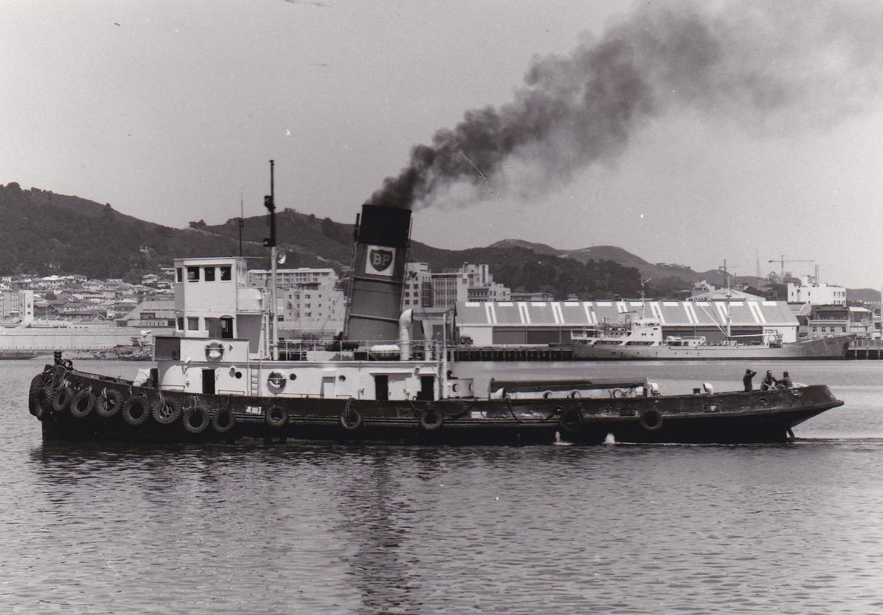Taioma