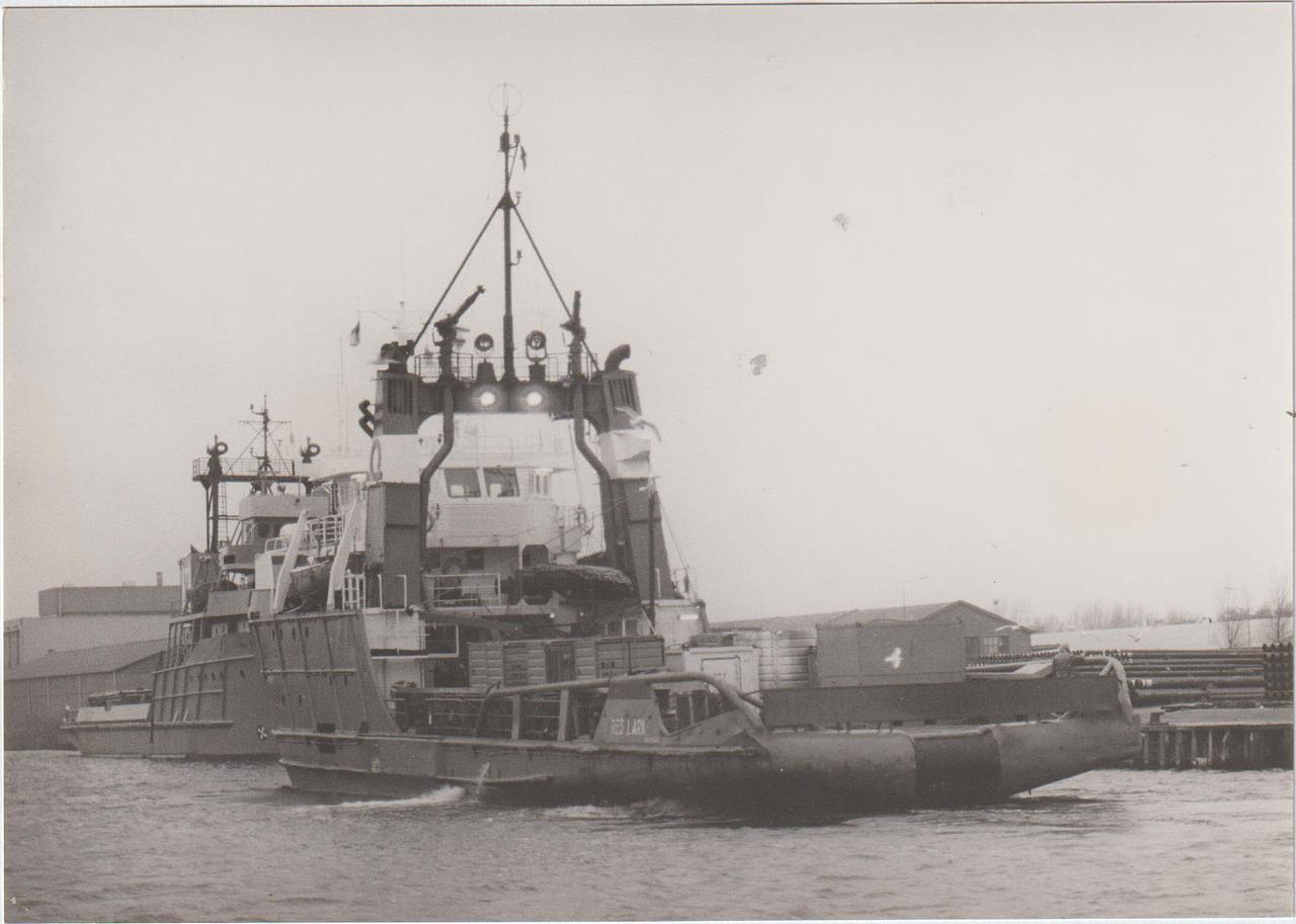 Ocean Lark