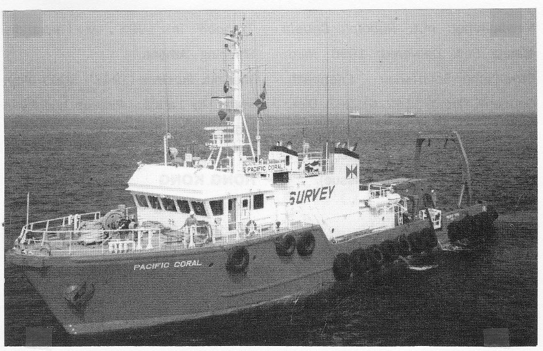 Ganga Dolphin