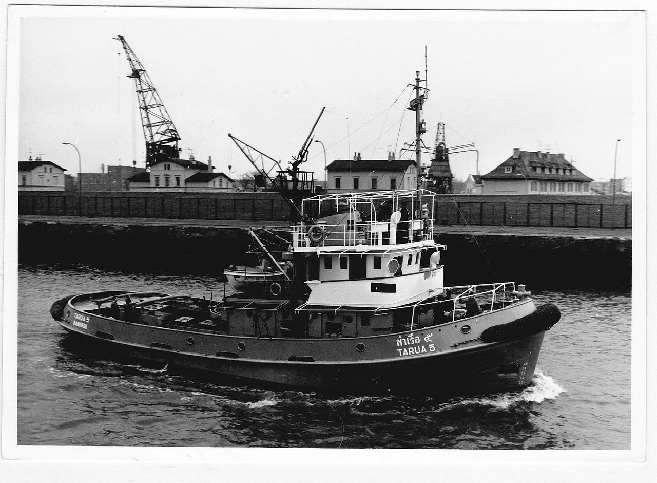 Tarua 005