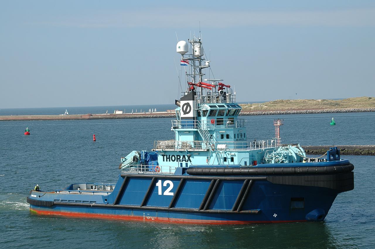 Thorax-12