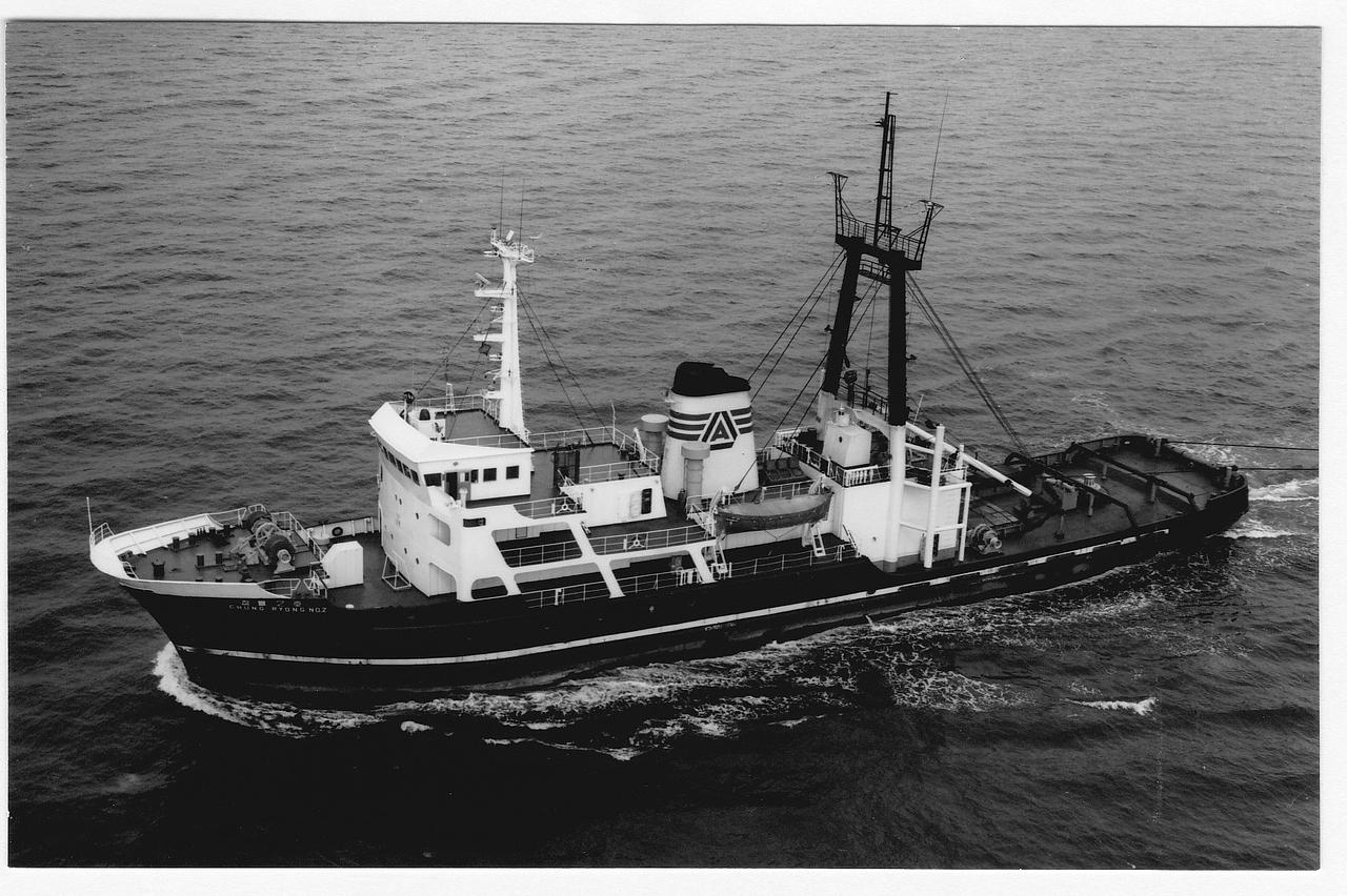 Mtide Taurus