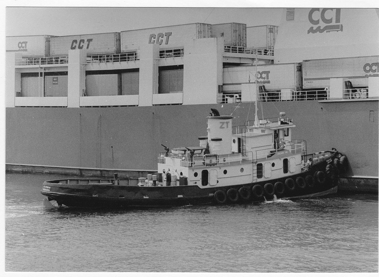 Zuliano VIII