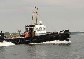 Seebaer