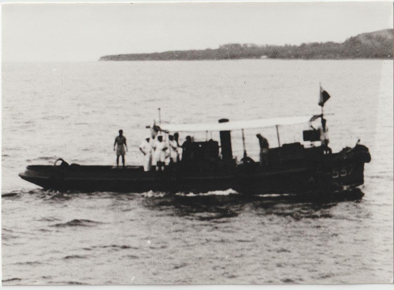 Rikanau