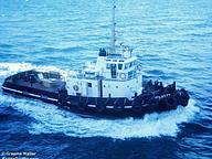 Turanguna