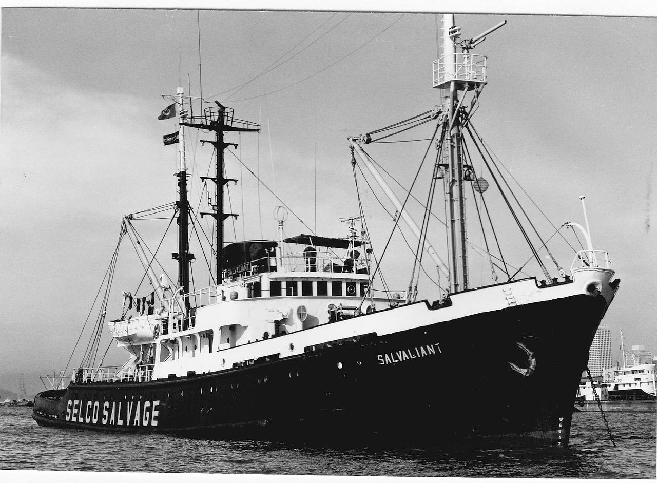 Salvaliant