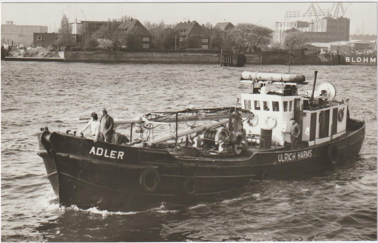 Adler 1