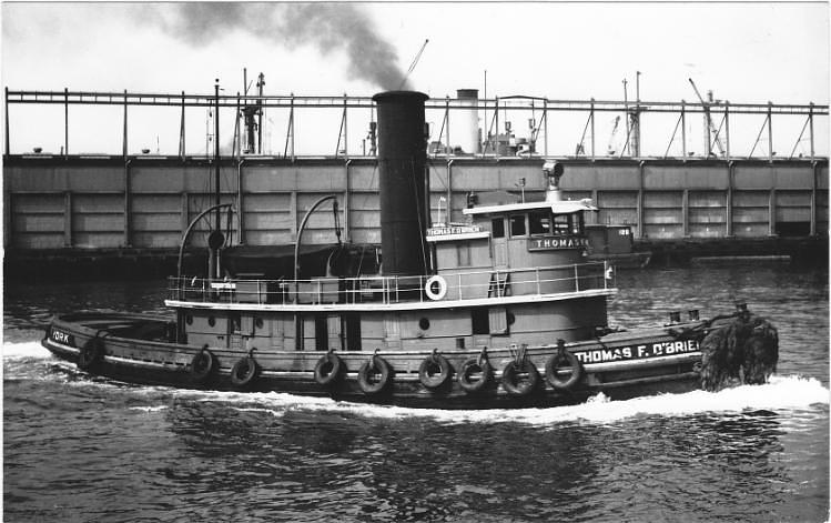 Thomas F. O'brien
