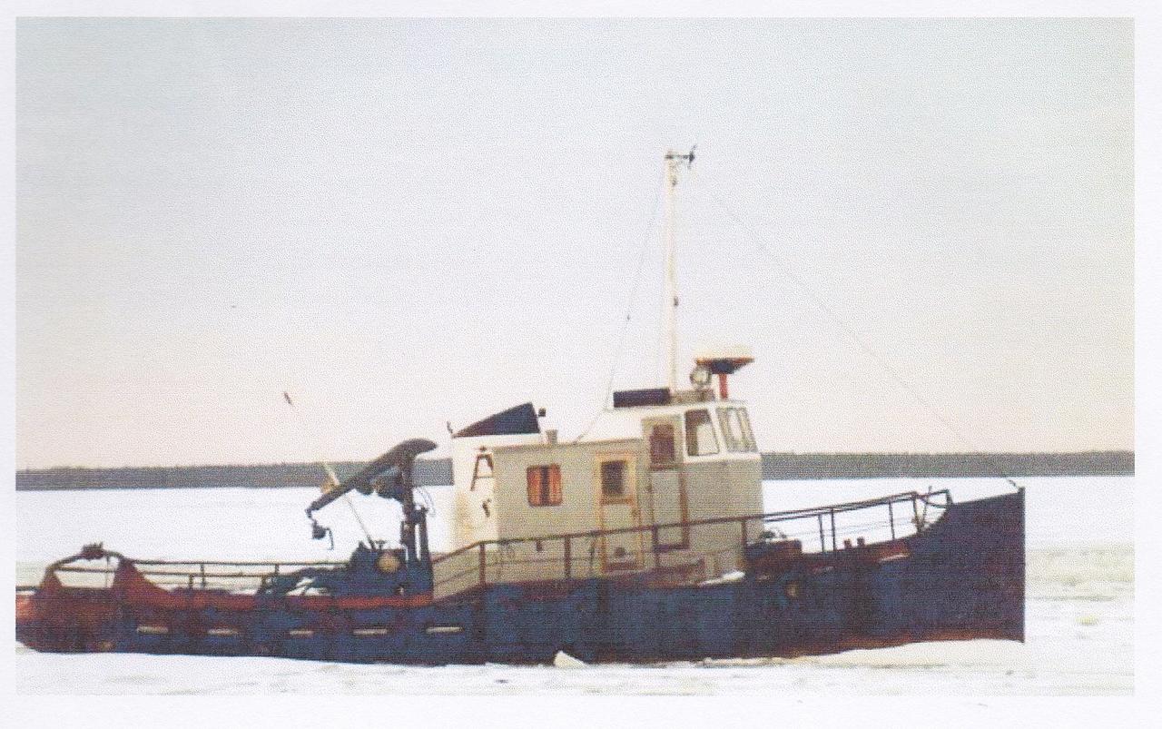 Viking 4
