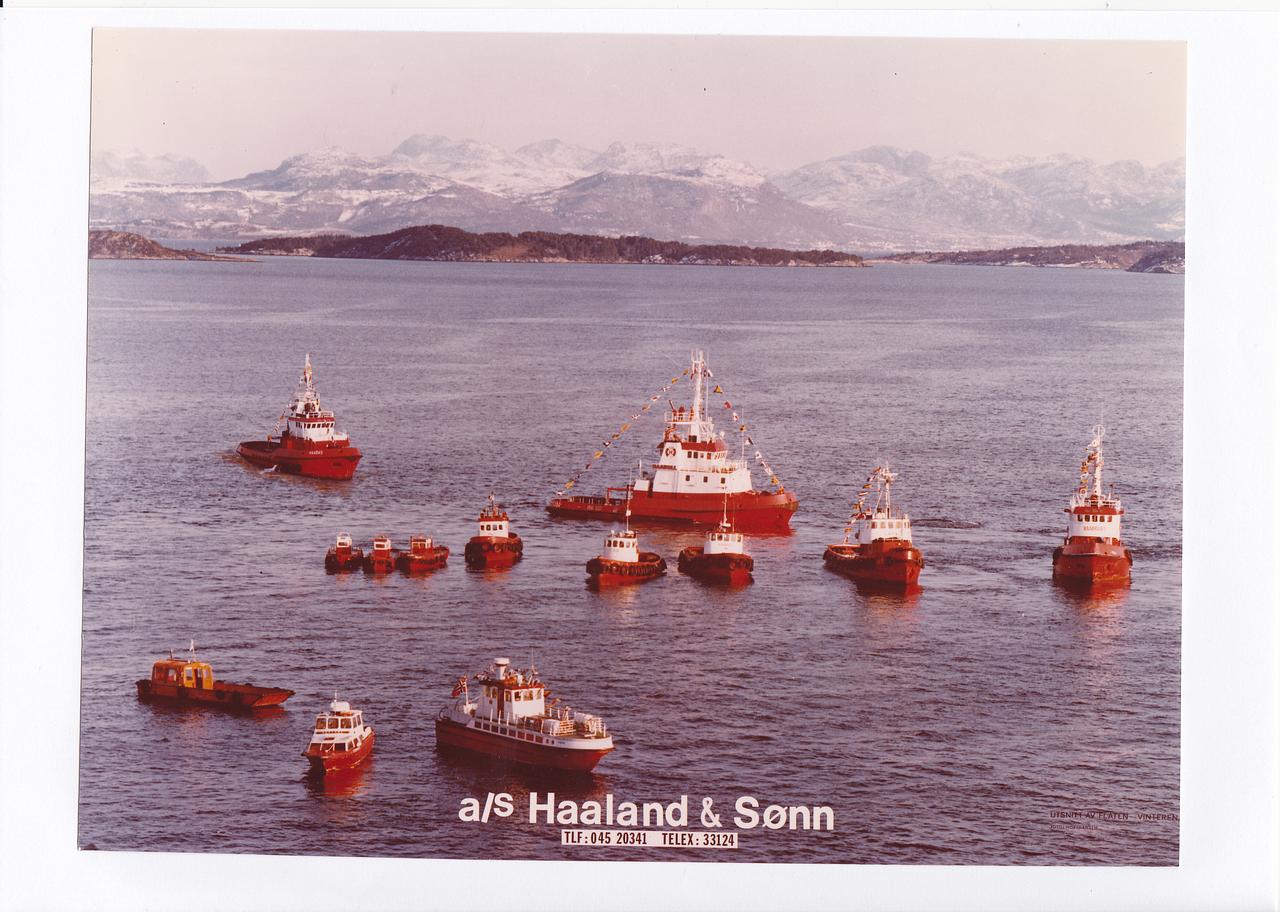Vdc Mammut