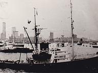 Princess II