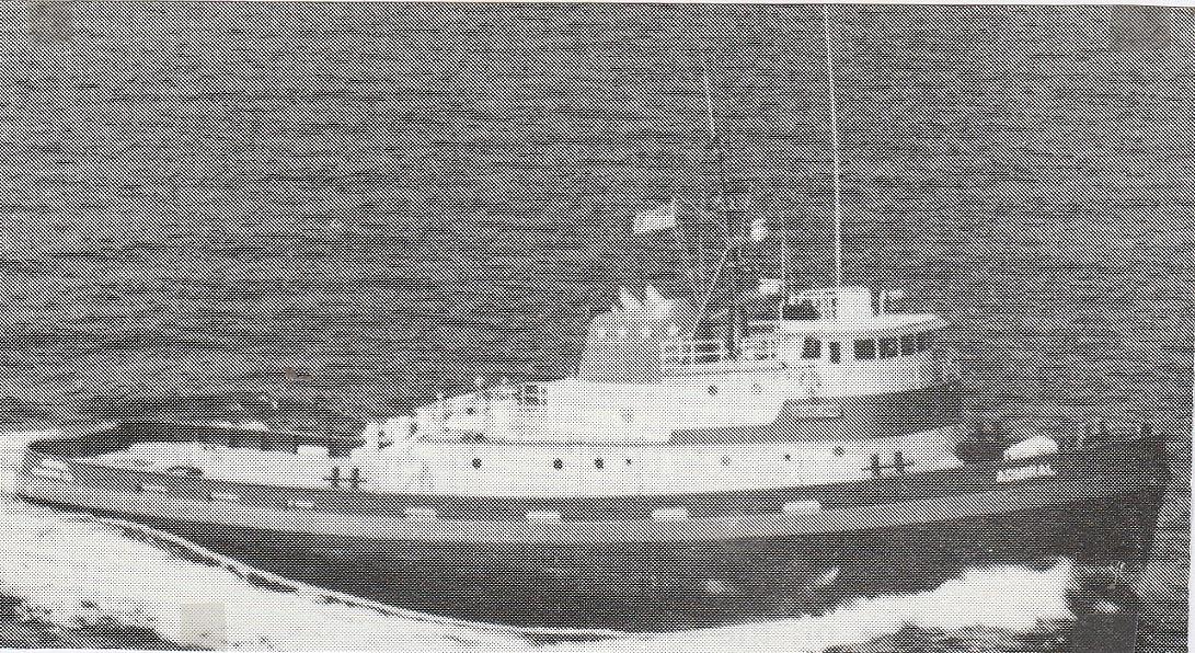 El Lobo Grande II