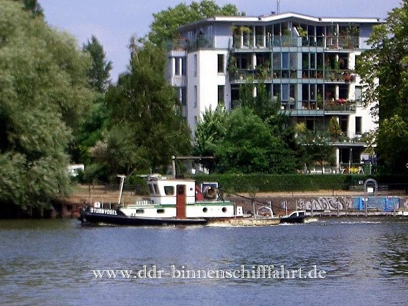 Sturmvogel