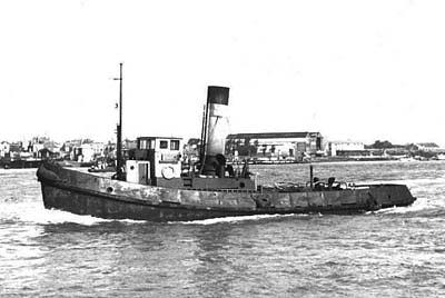 Irving Pine