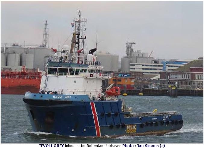 Ievoli Grey
