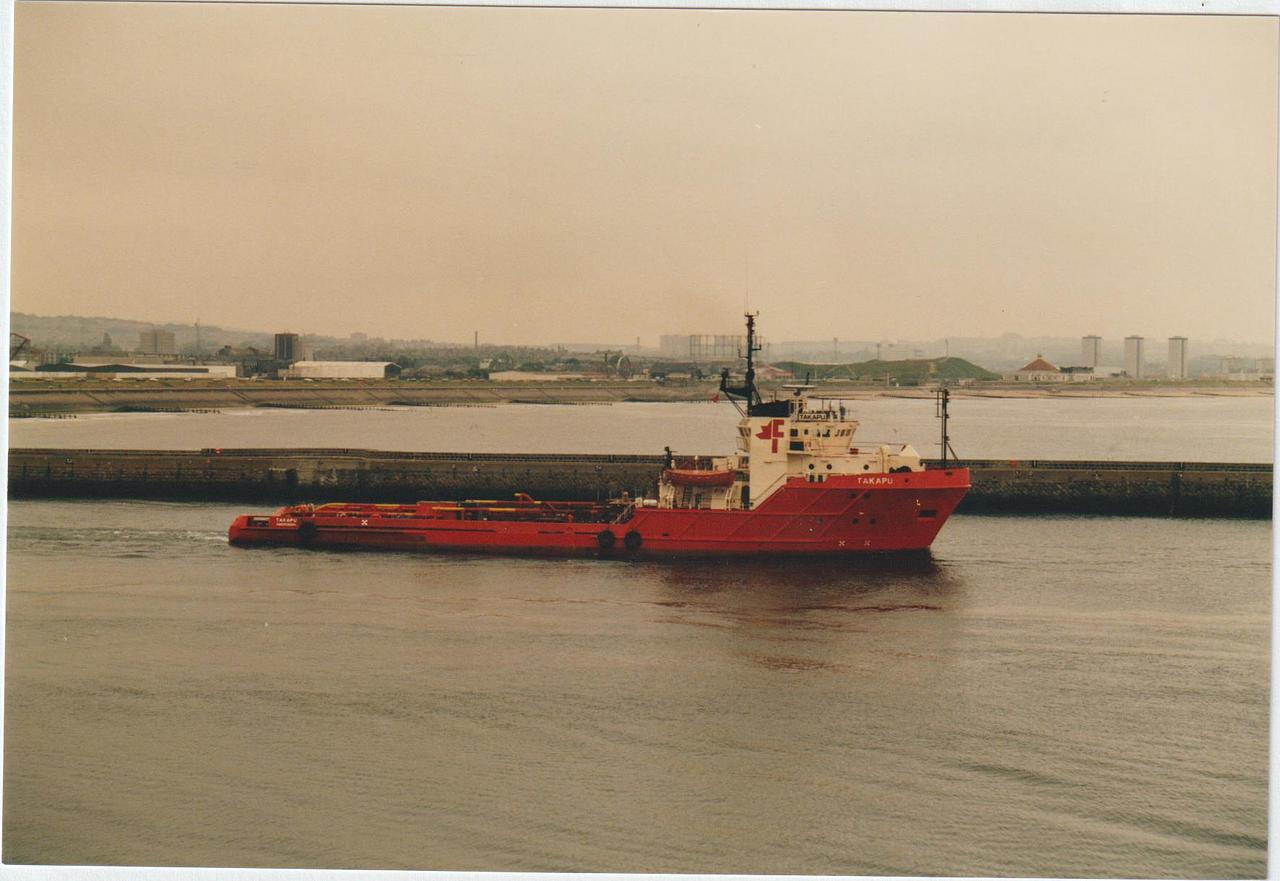 Sea Cheetah