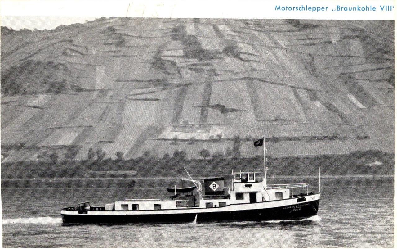 Braunkohle VIII