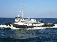 Crosby Tarpon
