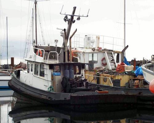 Coastal Duke