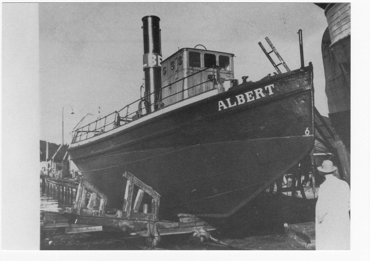 Albert (1)