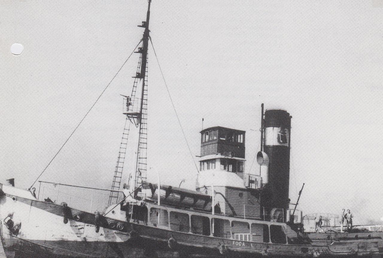 Ona Bellusco