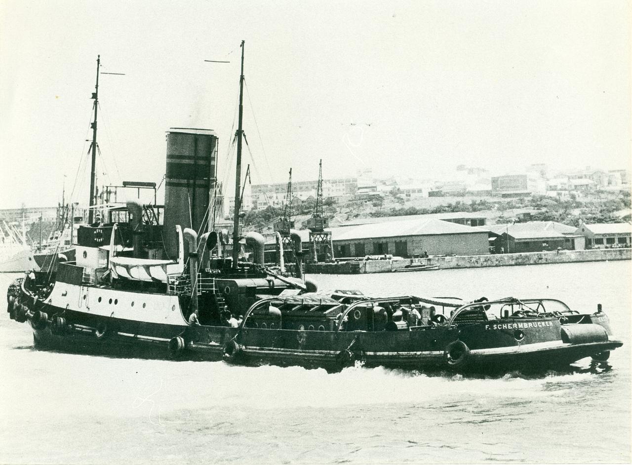 Zoe III
