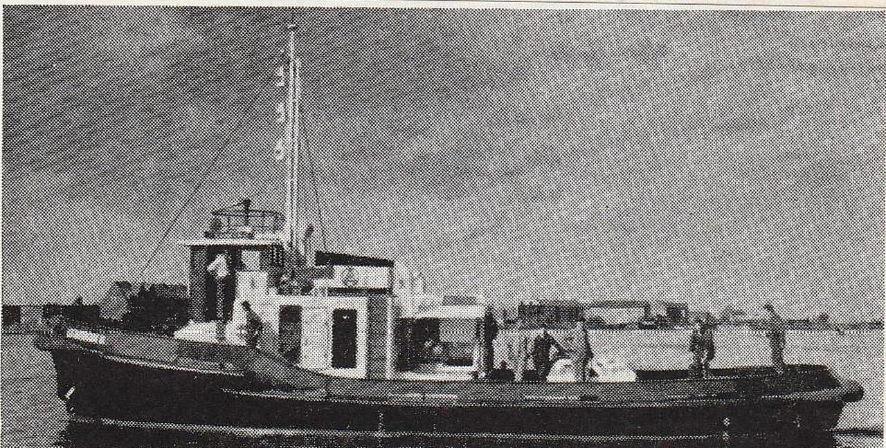 Damman 12