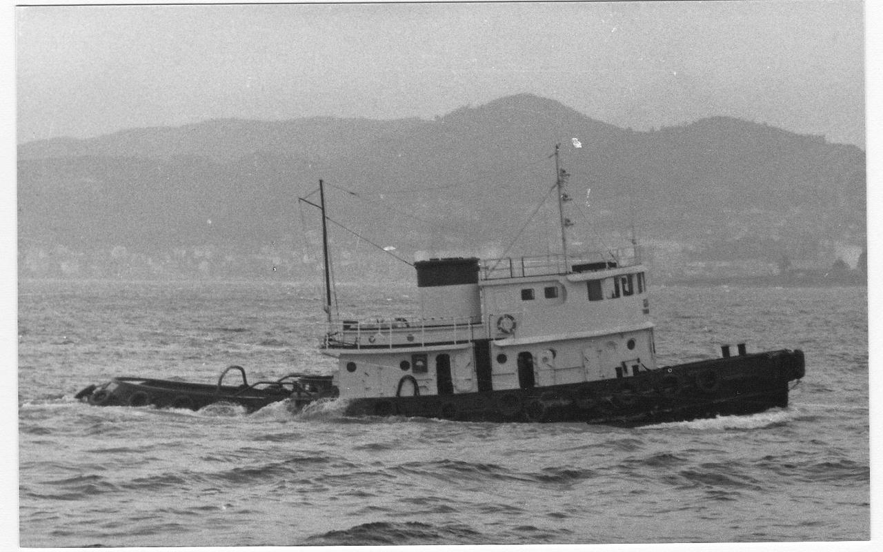 Remolcanosa Dos