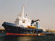 Koral