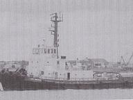 Sea Buffalo