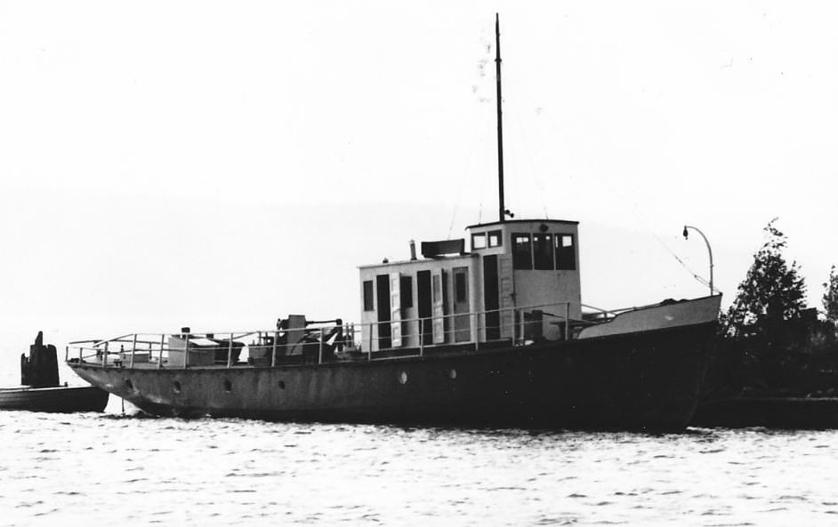Ne 8