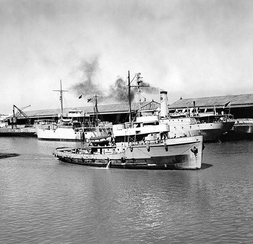 Trueno Del Plata