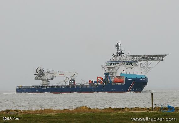 Ievoli Ivory