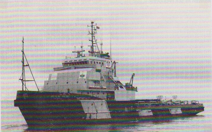 Mystic Viking