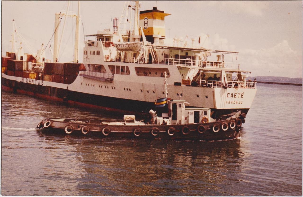 Tubarao