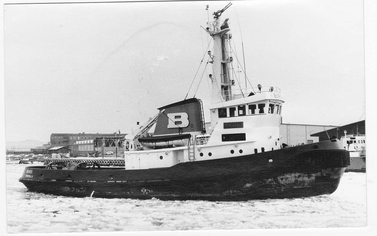 Buhus