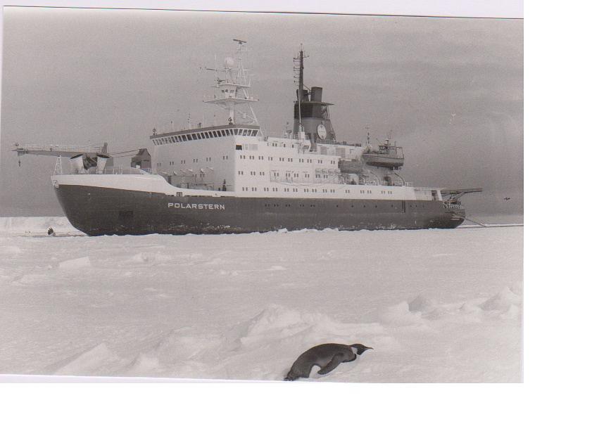 Polarstern