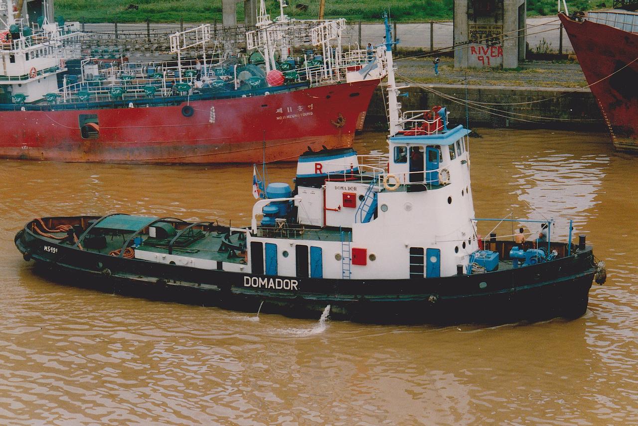 Domador