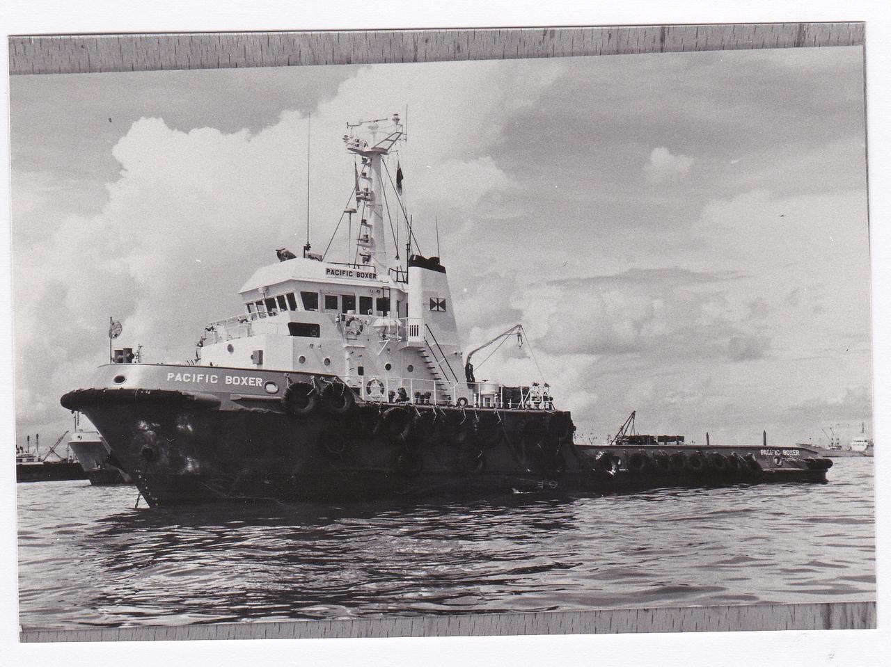 Pacific Boxer